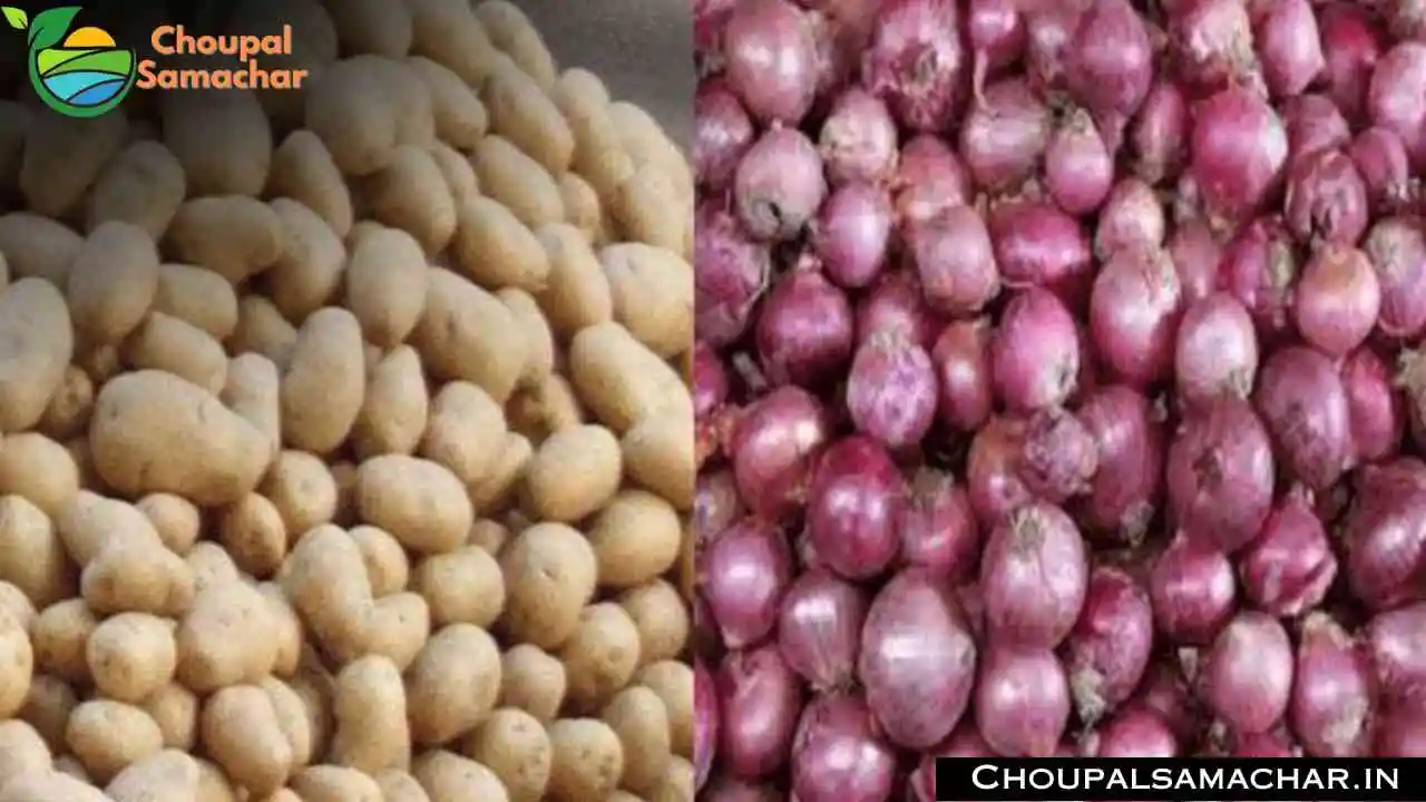 Onion Garlic Price