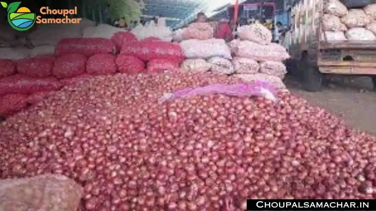 Indore Mandi Price