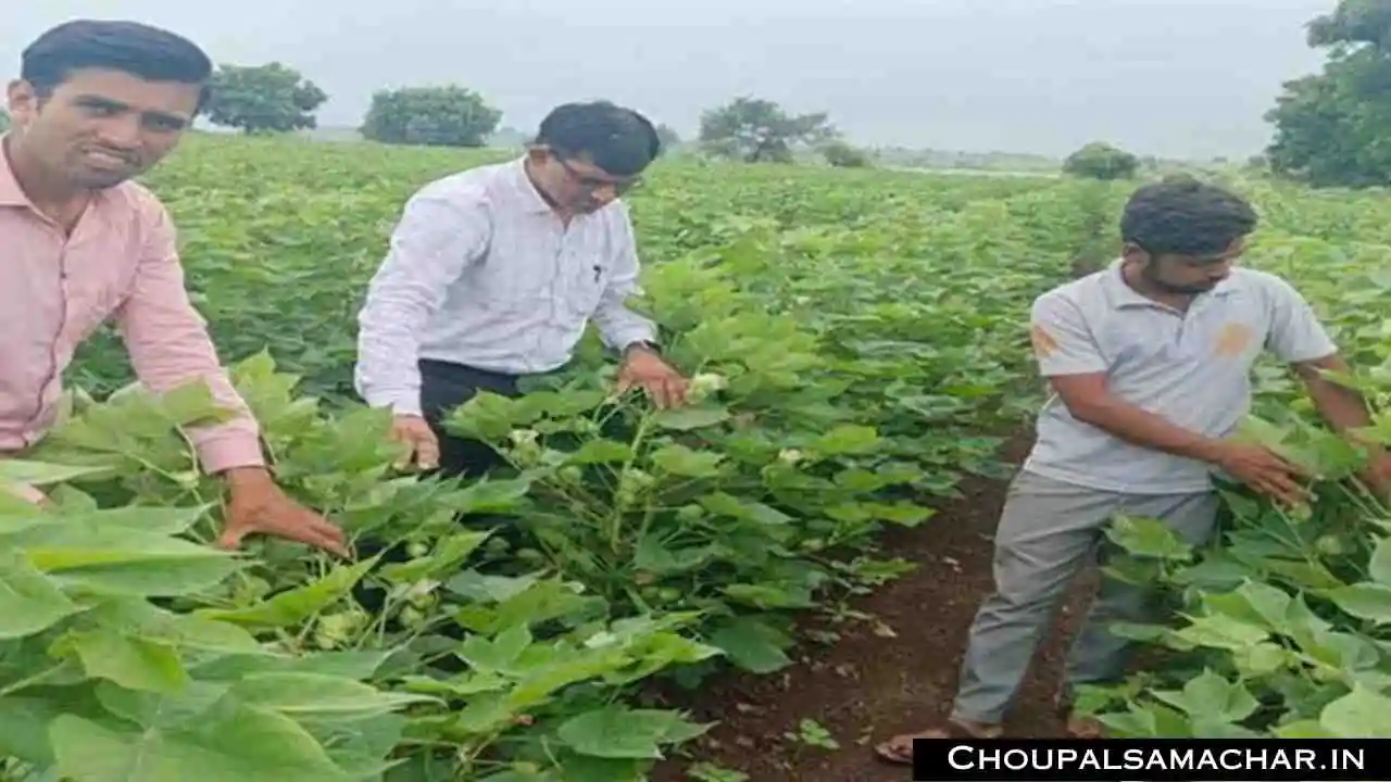 Farmer Scheme