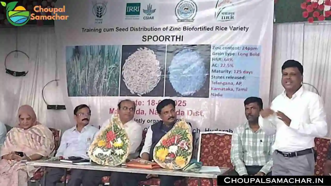 New Paddy Variety