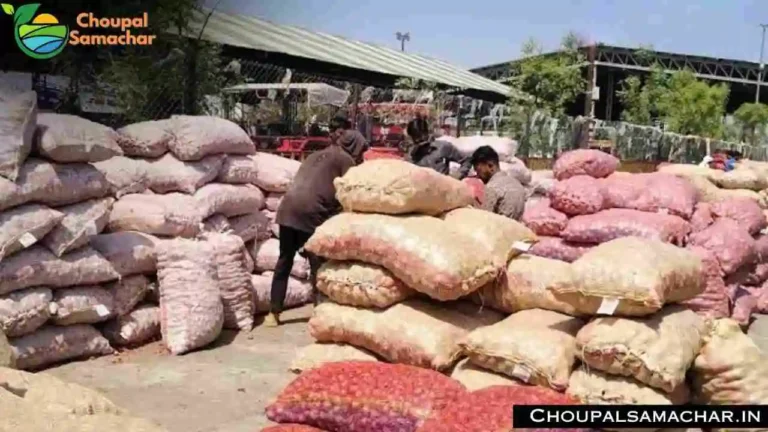Garlic Onion Price