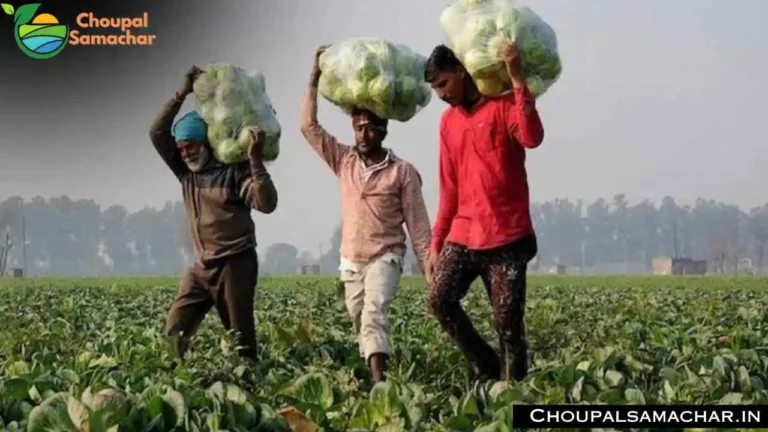Farmer Award