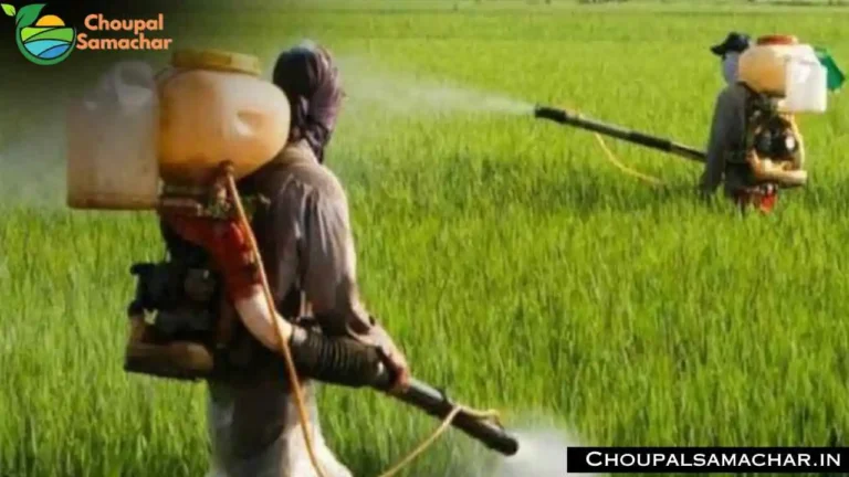 Fertilizer Rules