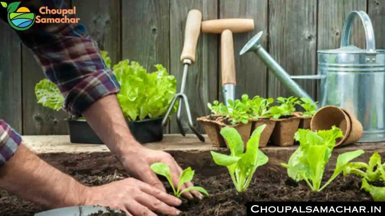 Rooftop Subsidy Scheme