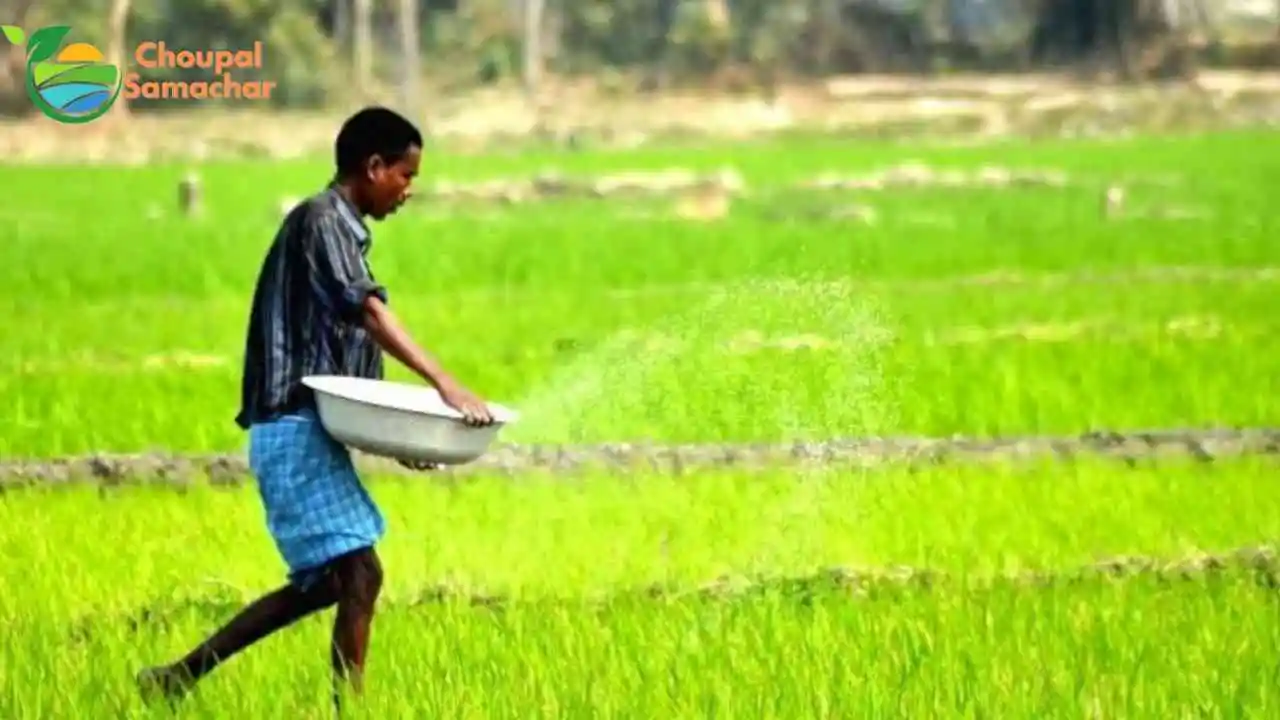 Fertilizer Use Advice