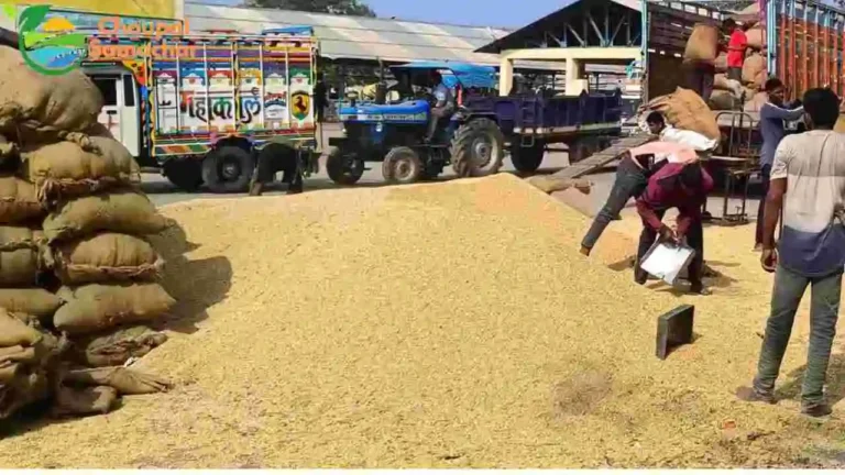 Bhavantar Helpline Number