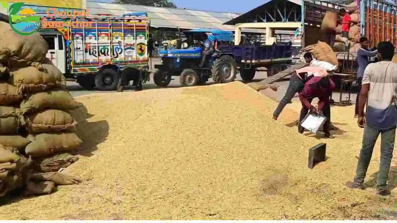 Bhavantar Helpline Number