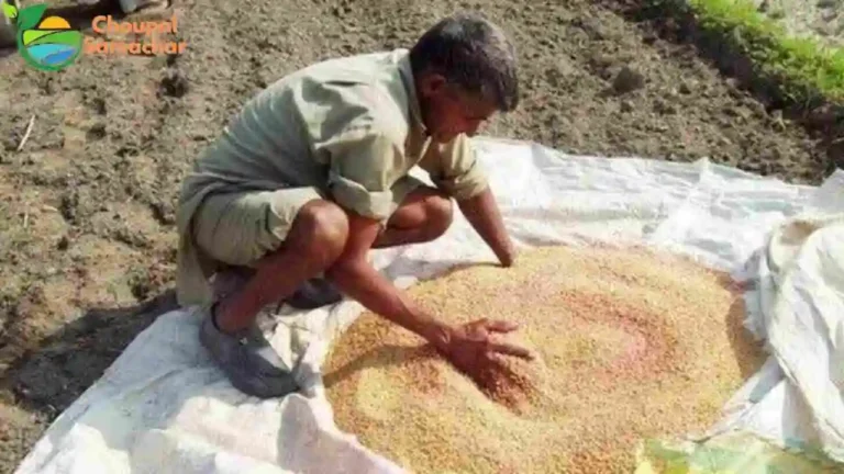 Seed Treatment Benefits