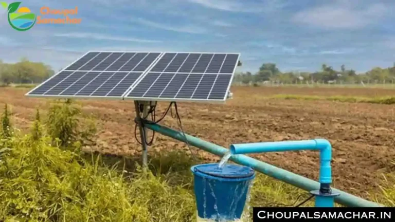 Solar Subsidy Scheme