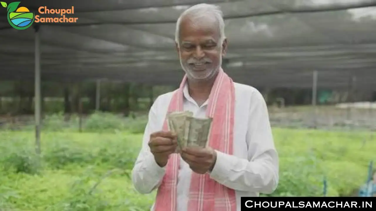 Horticultural Subsidy