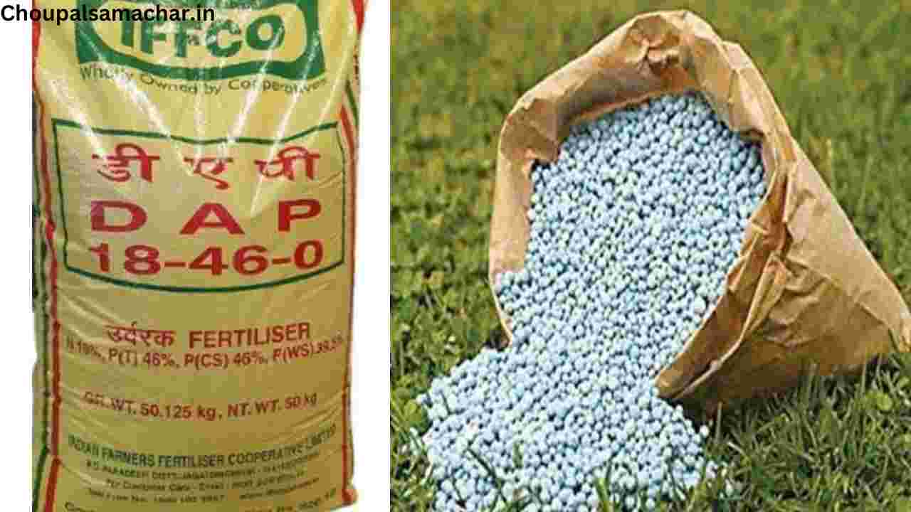 DAP (Fertilizer Side Effect)