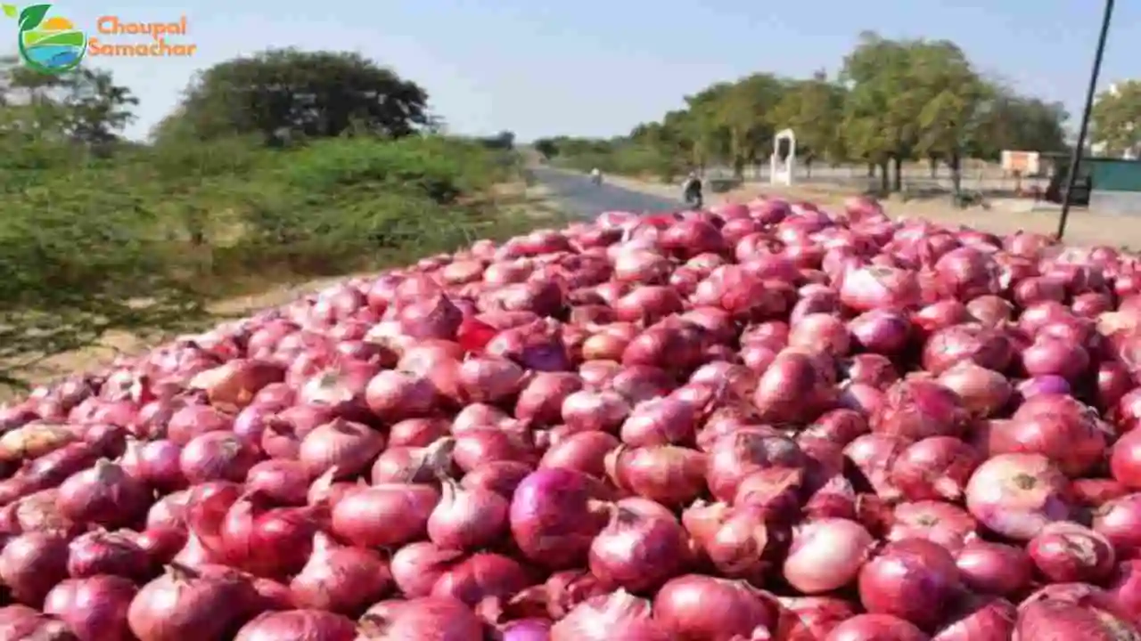 Onion Import Approval