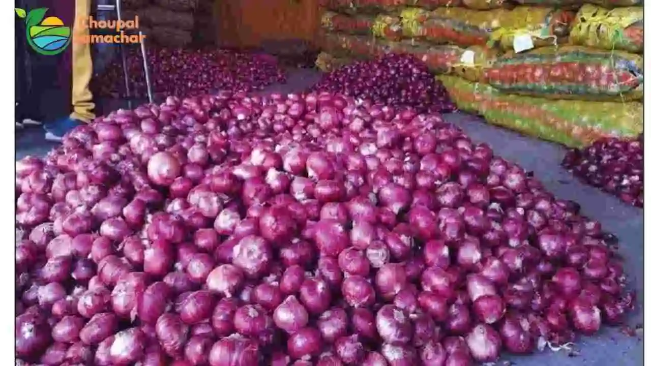 Onion Price