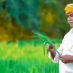 Rabi Crop Insurance