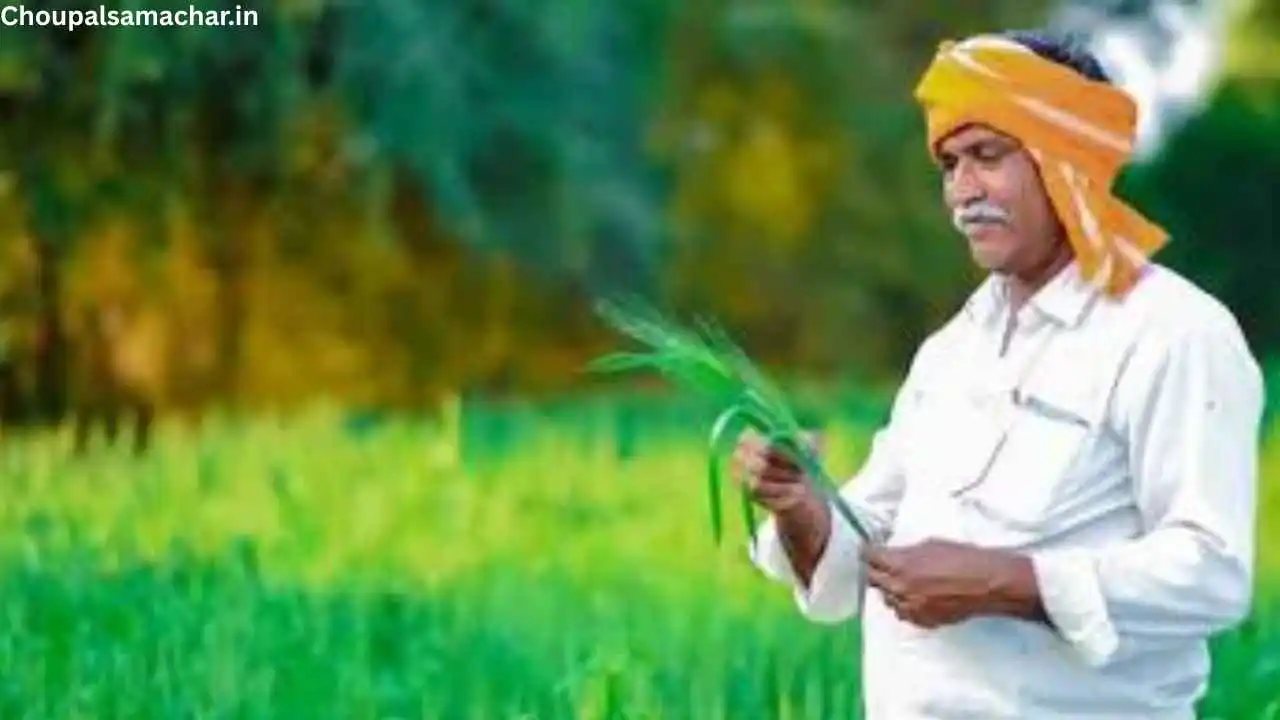 Rabi Crop Insurance